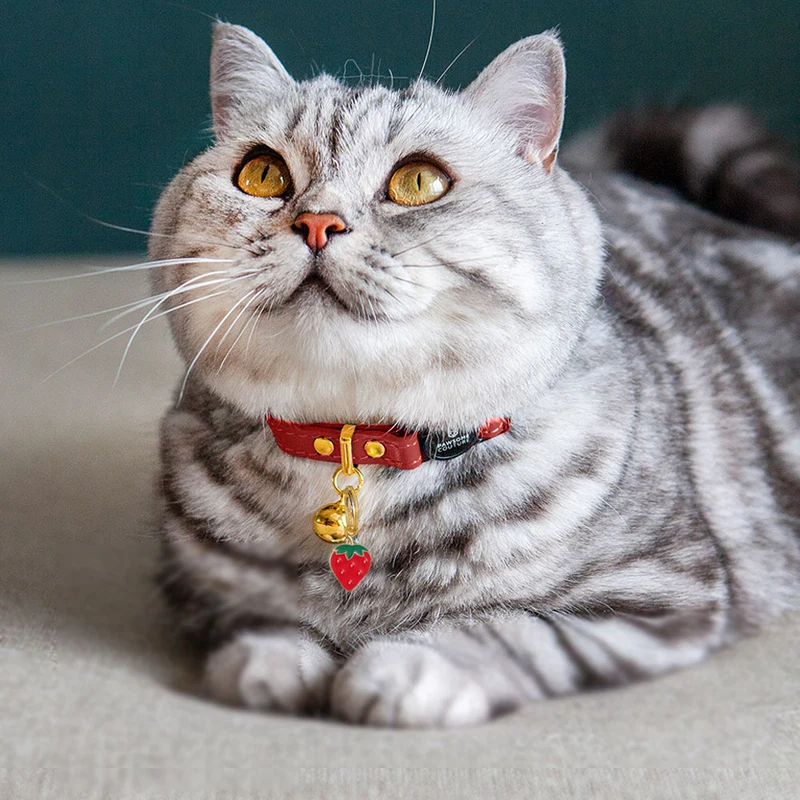 Fruit Collar Charm Set
