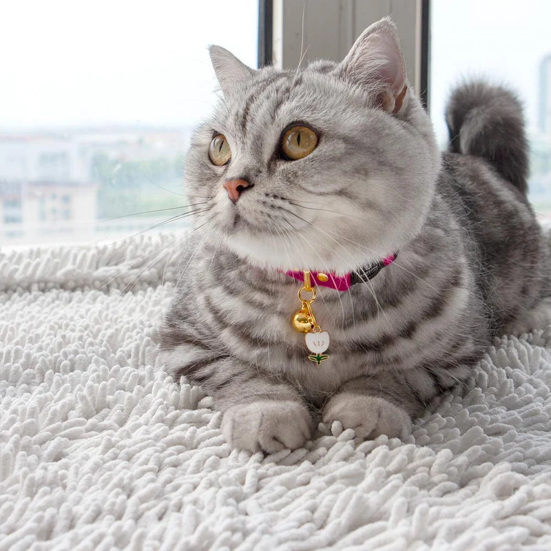 Velvet Cat Collars
