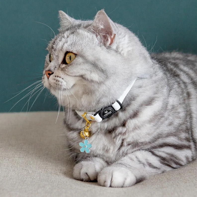 Velvet Cat Collars