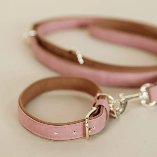 Kentucky Hundehalsband Veganes Leder - Pfirsich/Braun