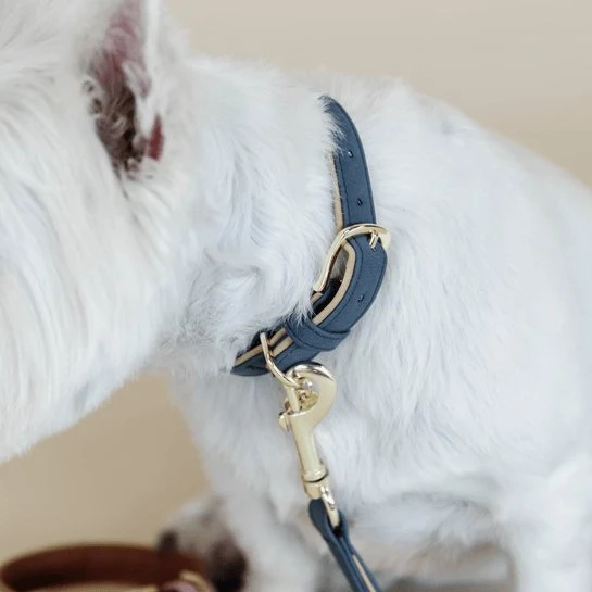Kentucky Hundehalsband aus veganem Leder - Navy/Beige