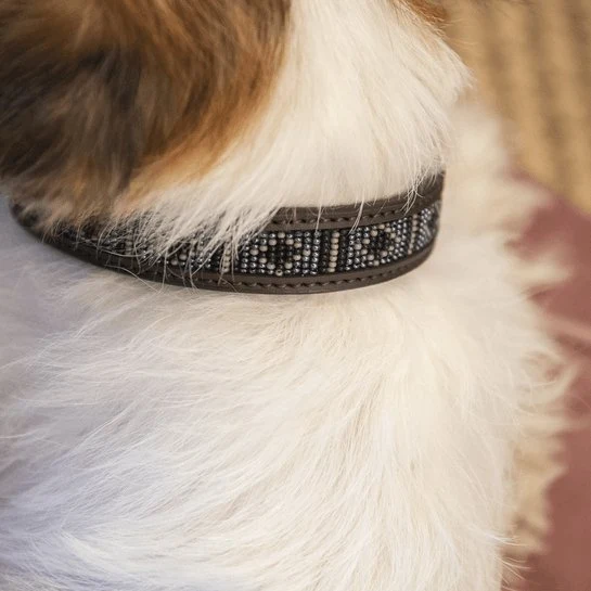 Kentucky Hundehalsband Handgemachte Perlen - Silber
