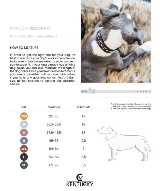 Kentucky Hundehalsband Handgemachte Perlen - Silber