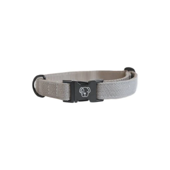 Kentucky Hundehalsband Eidechse - Beige