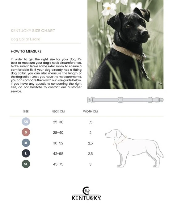 Kentucky Hundehalsband Eidechse - Braun