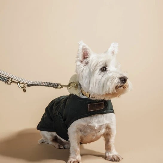 Kentucky Hundehalsband Pied-de-Poule - Beige