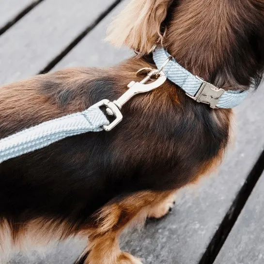 Kentucky Hundehalsband Wolle - Hellblau