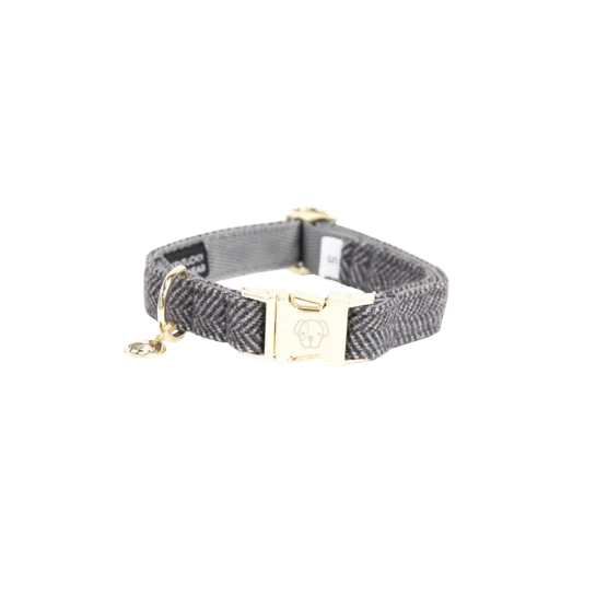 Kentucky Hundehalsband Wolle - Grau