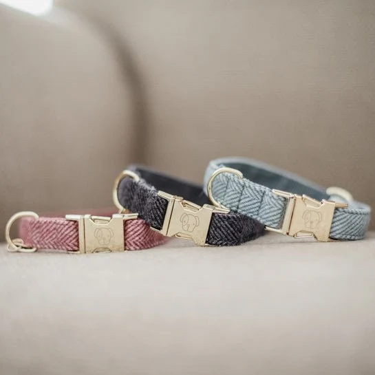 Kentucky Hundehalsband Wolle - Grau