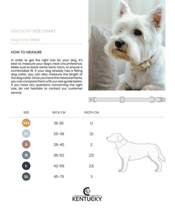 Kentucky Hundehalsband Wolle - Beige