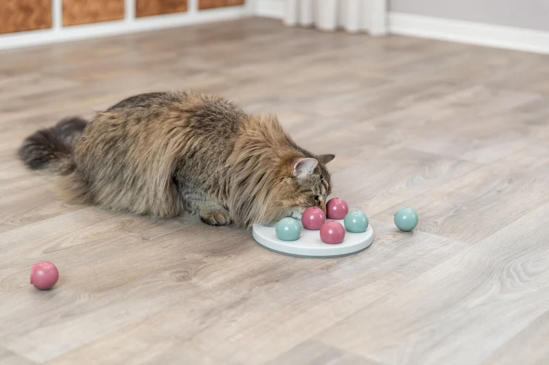 Solitär Strategiespiel für Katzen mit Abdeckkugeln