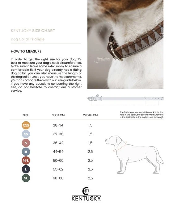 Kentucky Hundehalsband Dreieck