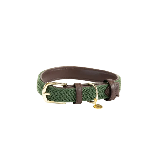Kentucky Geflochtenes Nylon-Hundehalsband - Olivgrün