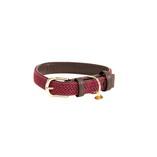 Kentucky Geflochtenes Nylon-Hundehalsband - Bordeaux
