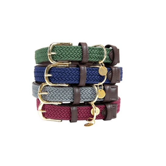 Kentucky Geflochtenes Nylon-Hundehalsband - Bordeaux
