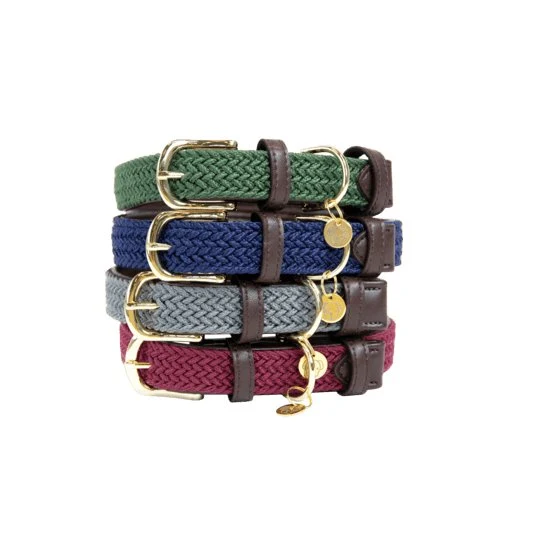 Kentucky Geflochtenes Nylon Hundehalsband - Grau