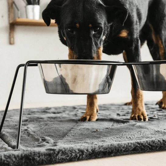 Kentucky Hundenapf Comfort Feeder - Schwarz