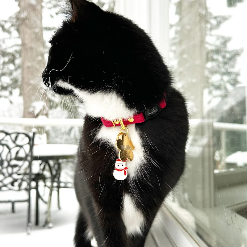 Cute Snowman Pet Collar Charm
