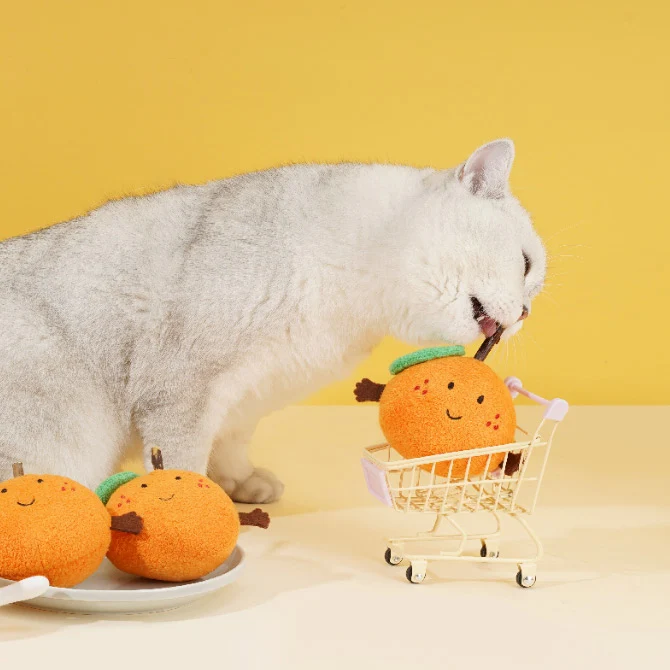 Orange Catnip Toys