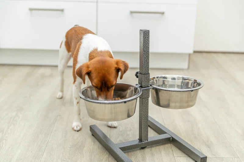 Hundebar, Metall/Edelstahl