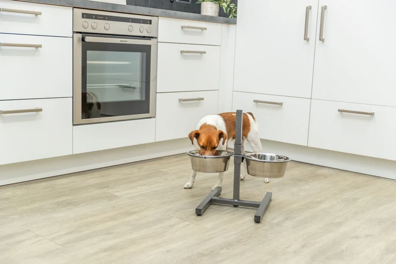 Hundebar, Metall/Edelstahl