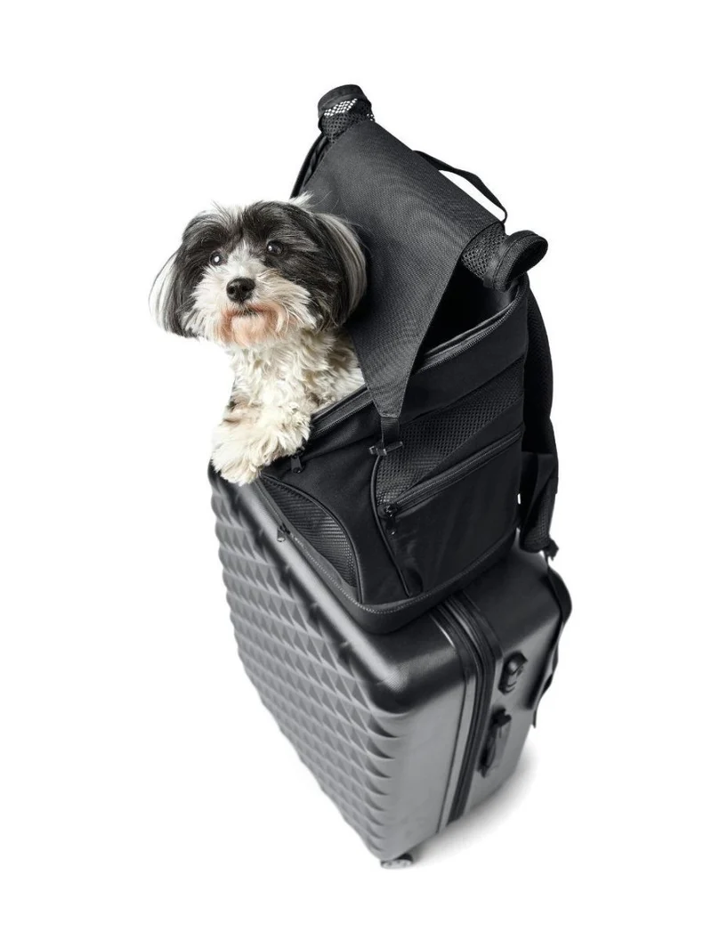 Hunter Miles Rucksack/Flugtasche – Schwarz
