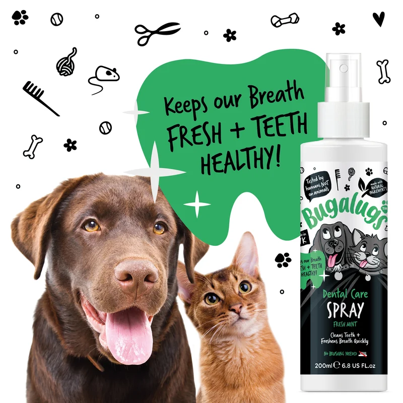 Bugalugs Dental Care Spray In Fresh Mint For Dogs & Cats 200ML