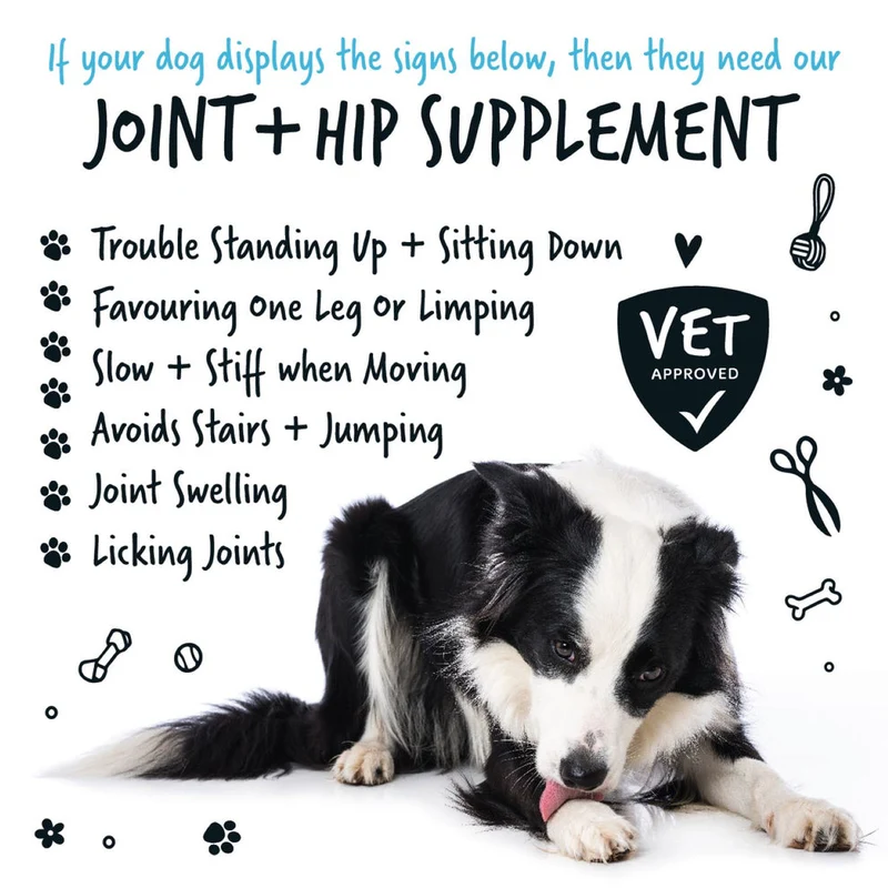 Bugalugs Joint & Hip Supplement Powder for Dogs 80G
