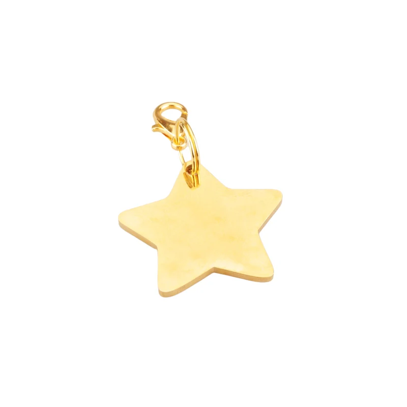 Star Pet ID Tag