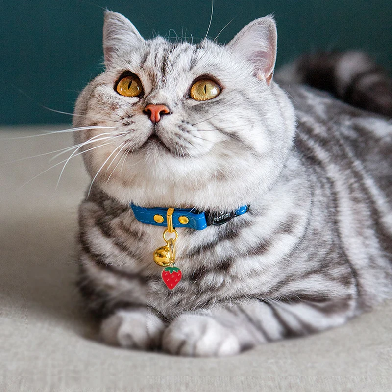 Luxury Leather Cat Collars