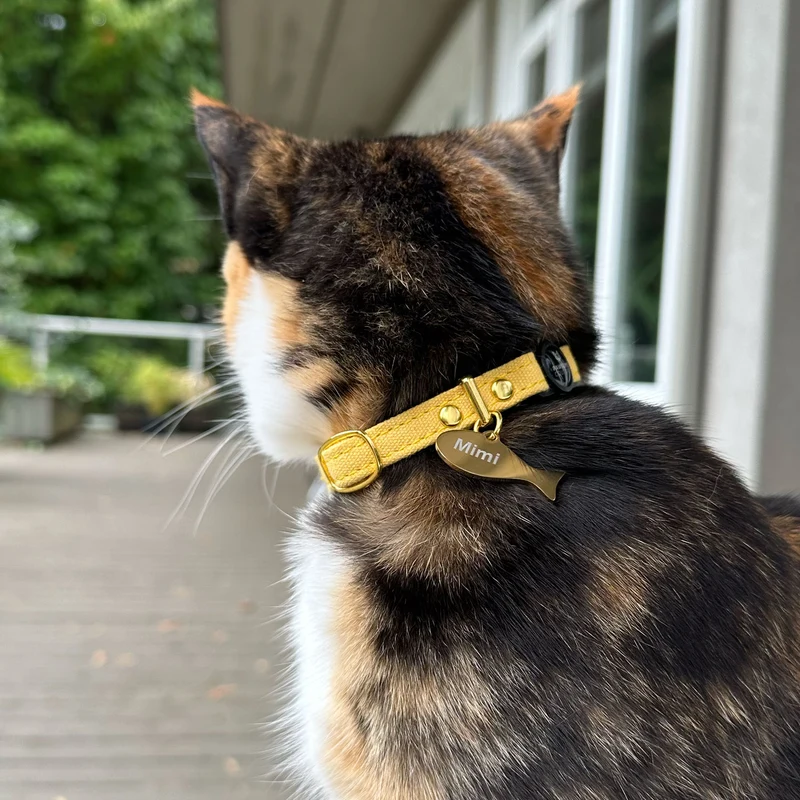 Fish Pet ID Tag