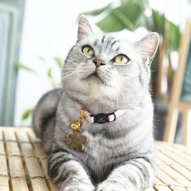 Cotton Cat Collars