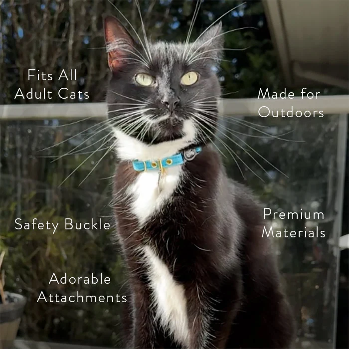 Cotton Cat Collars