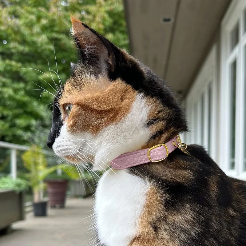 Cotton Cat Collars