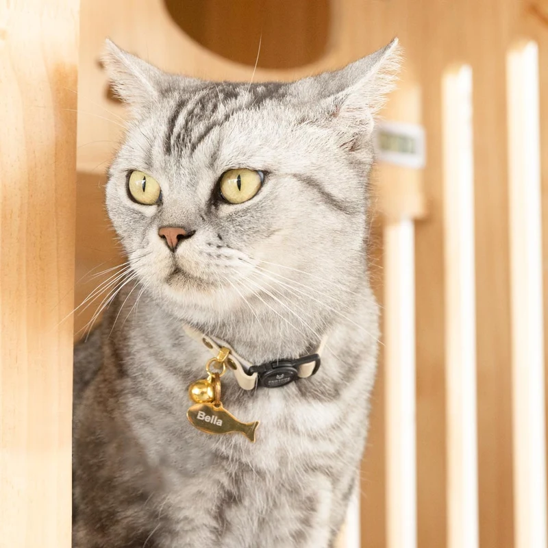 Leather Cat Collars