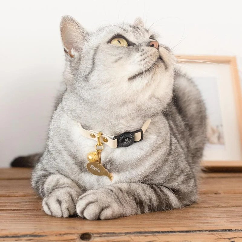 Leather Cat Collars