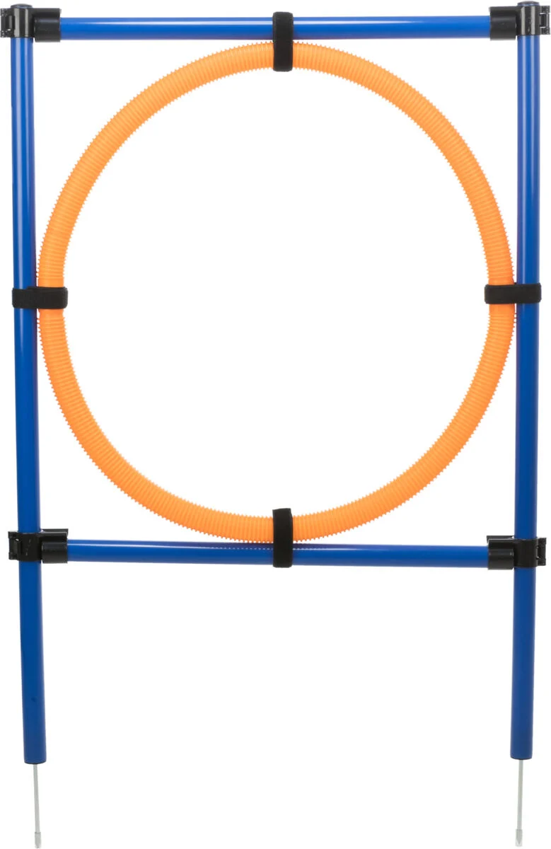 Fun Agility Ring