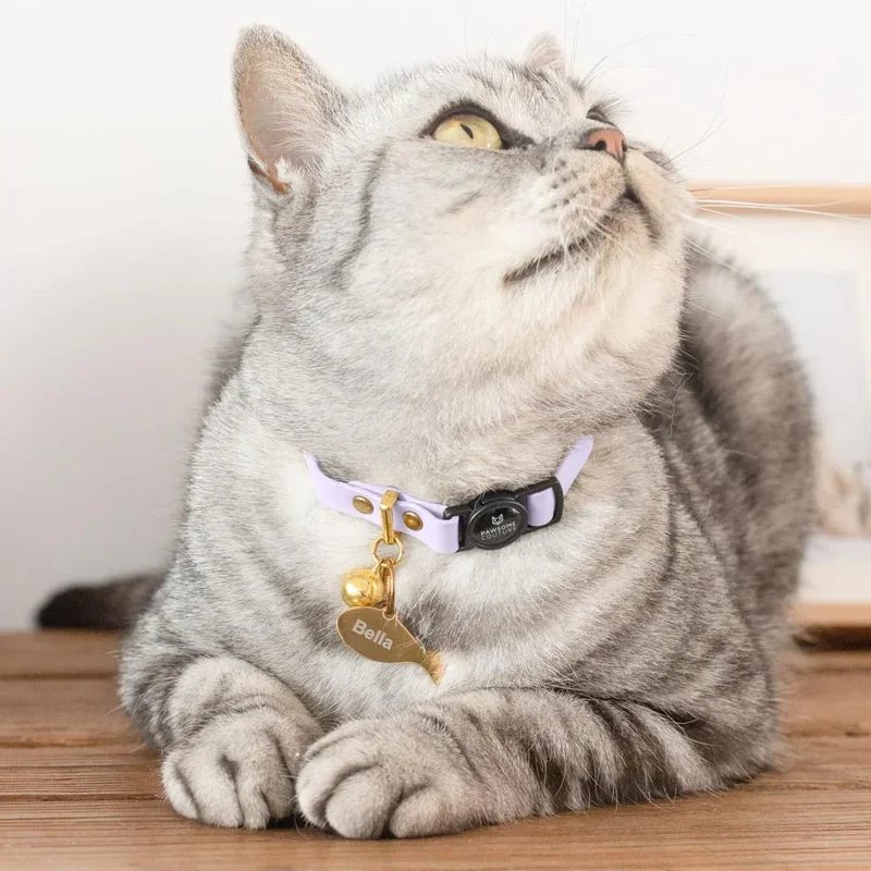Fish Pet ID Tag
