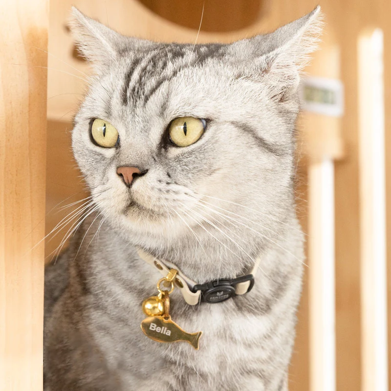 Fish Pet ID Tag