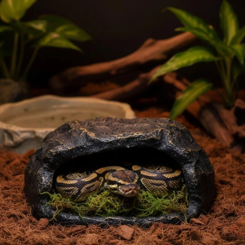 Zoo Med All Natural Terrarium Moss Substrate for Reptiles & Amphibians