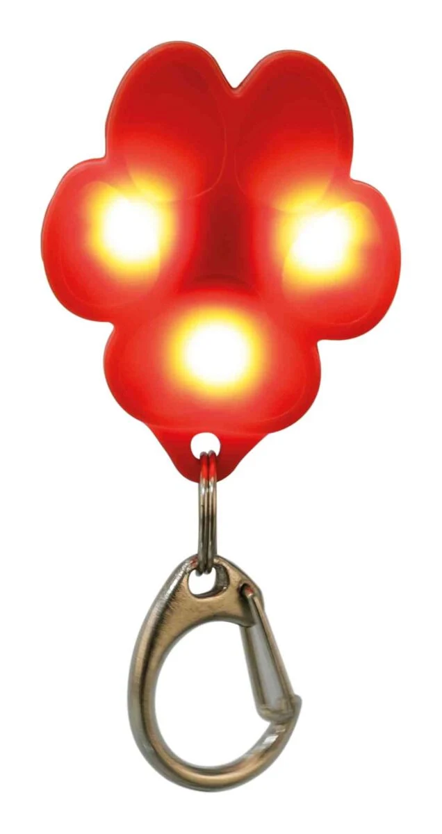 USB Flasher für Hunde