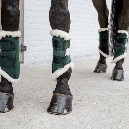 Kentucky – Velours-Dressur-Leggings – Kieferngrün