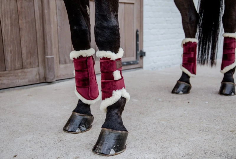 Kentucky – Velours-Dressurgamaschen – Bordeaux
