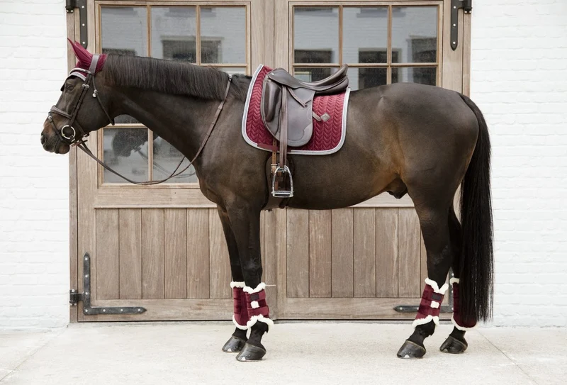 Kentucky – Velours-Dressurgamaschen – Bordeaux