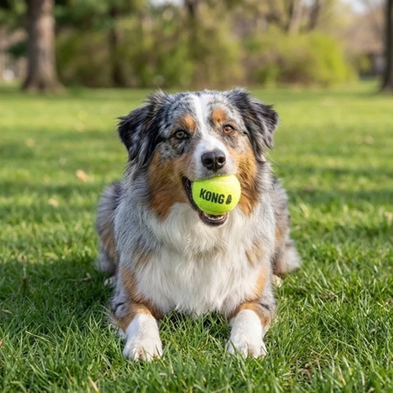 KONG SqueakAir Non-Abrasive Tennis Ball Squeaky Fetch Toy for Dogs Medium Pack of 3