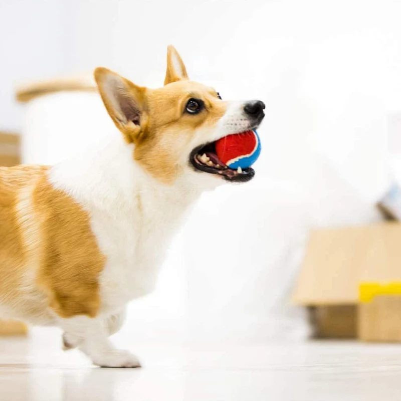 GiGwi Ball Originals Squeaker Tennis Balls Dog Toy Set of 3