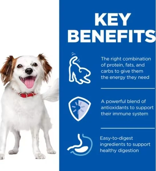 Hill's Science Plan Small and Mini Adult Dog Mousse Wet Food 200G