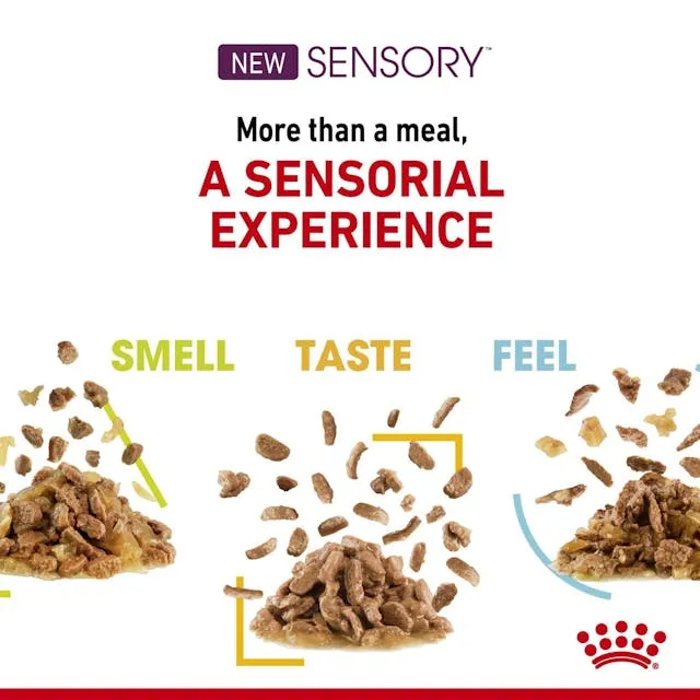Royal Canin Feline Health Nutrition Sensory Smell Chunks In Gravy Cat Wet Food 85G