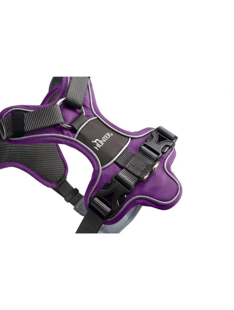 Hunter-Geschirr – „Divo“ – Violett/Grau