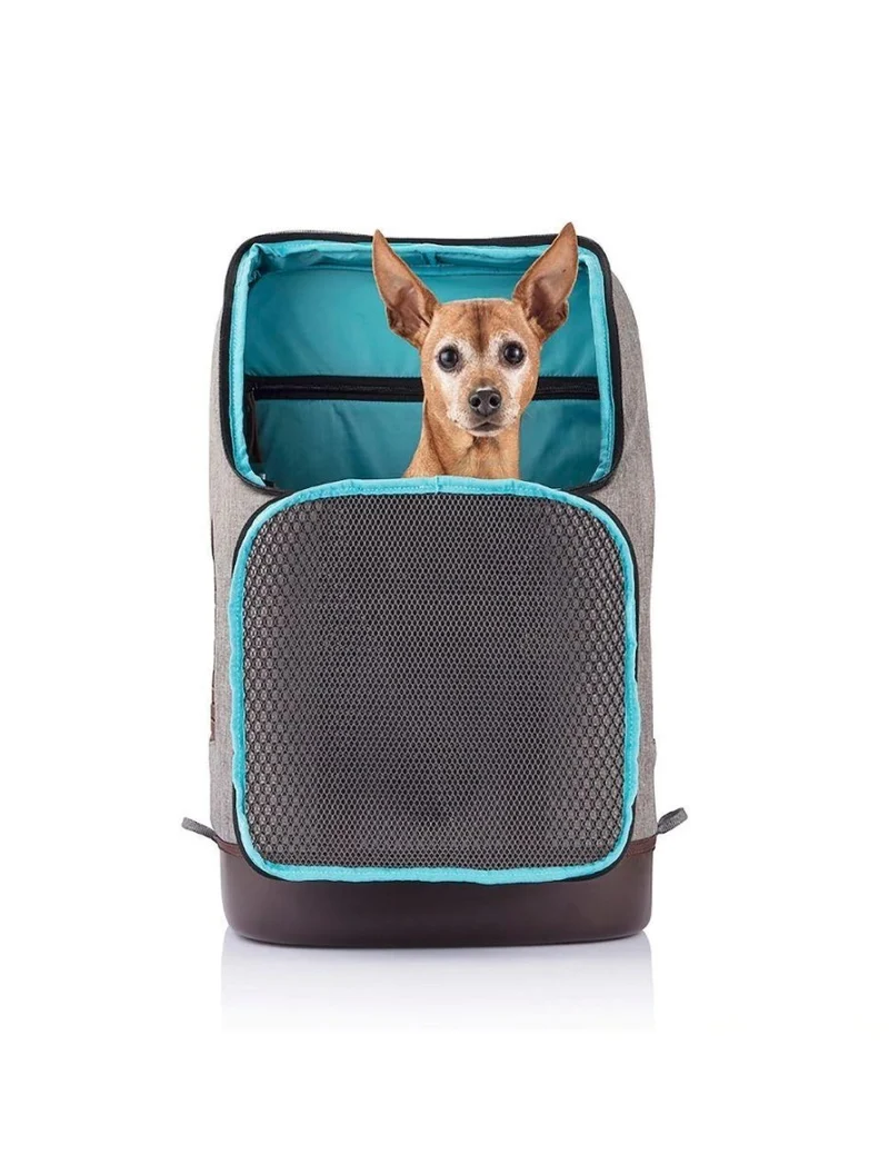 KURGO K9 Rucksack - Grau